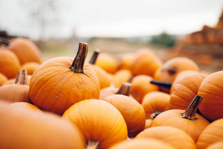 pumpkin candle meaning