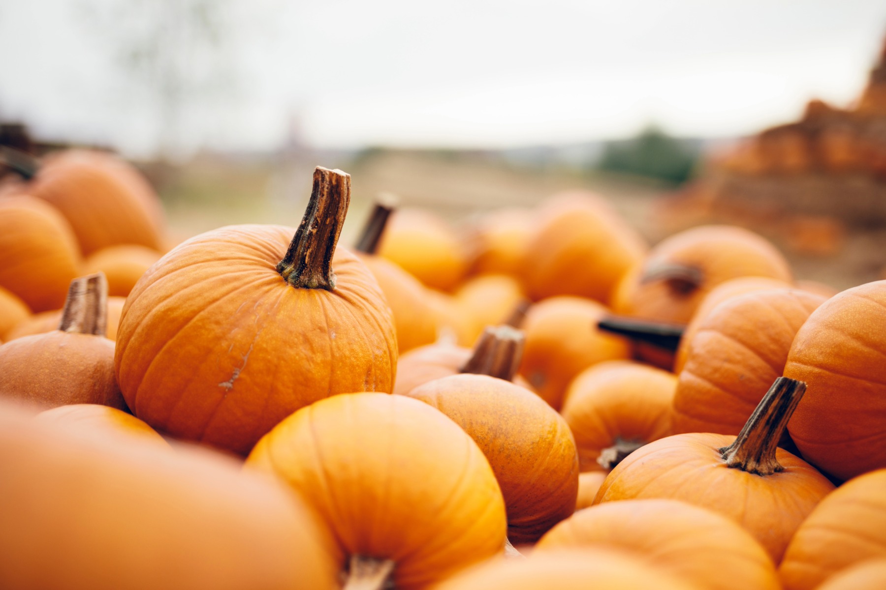 pumpkin candle meaning
