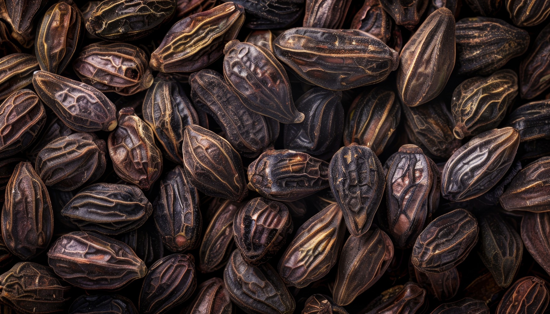 tonka bean Candle Meaning